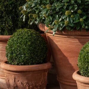ORNAMENTI by Lapicida - Garden planters product category